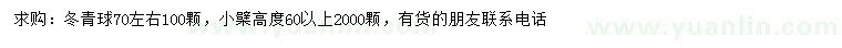 求購(gòu)70公分左右冬青球、高60公分以上小檗