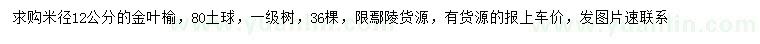 求購米徑12公分金葉榆