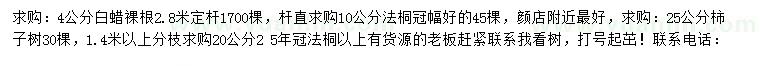 求購白蠟、法桐、柿子樹