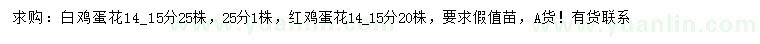 求購14、15公分白雞蛋花、紅雞蛋花