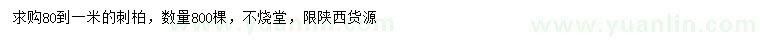 求購80-100公分刺柏