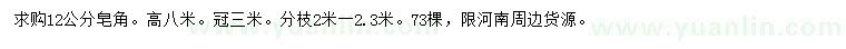 求購12公分皂角