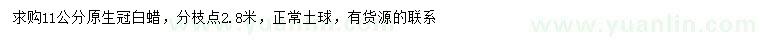 求購11公分白蠟