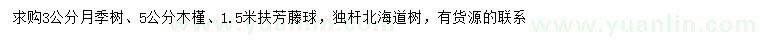 求購月季、木槿、扶芳藤球等