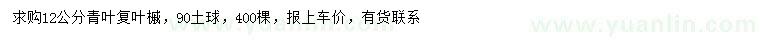 求購12公分青葉復(fù)葉槭