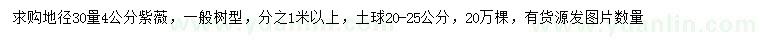 求購地徑30量4公分紫薇