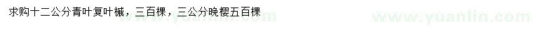 求購(gòu)12公分青葉復(fù)葉槭、3公分晚櫻
