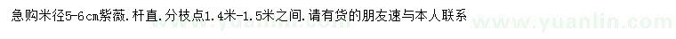 求購米徑5-6公分紫薇