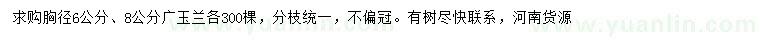 求購胸徑6、8公分廣玉蘭