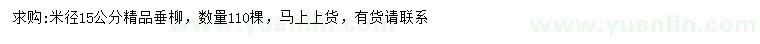 求購米徑15公分精品垂柳