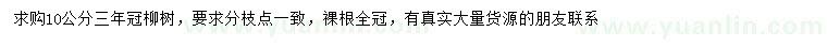 求購10公分柳樹