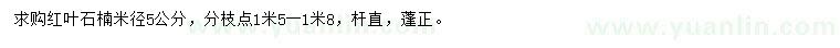 求購(gòu)米徑5公分紅葉石楠