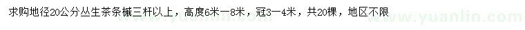 求購地徑20公分叢生茶條槭