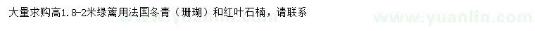 求購(gòu)高1.8-2米法國(guó)冬青（珊瑚）、紅葉石楠