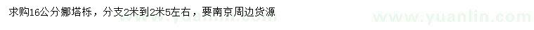 求購16公分娜塔櫟