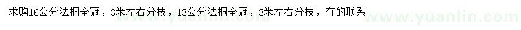 求購13、16公分法桐