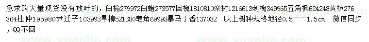 求購白榆、白蠟、國槐等