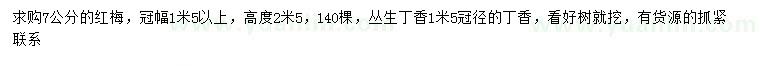 求購(gòu)冠幅1.5米丁香、紅梅