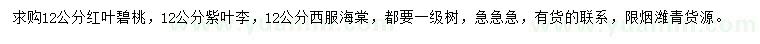 求購紅葉碧桃、紫葉李、西府海棠