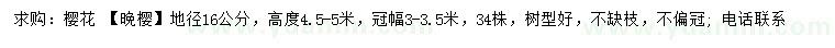 求購地徑16公分晚櫻