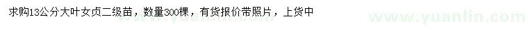 求購13公分大葉女貞