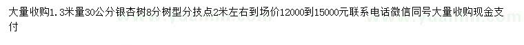 求購1.3米量30公分銀杏樹