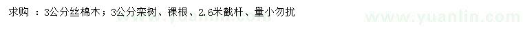 求購(gòu)3公分絲棉木、欒樹(shù)