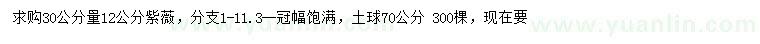 求購30公分量12公分紫薇