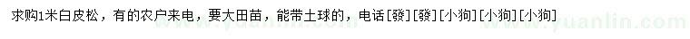 求購1米白皮松