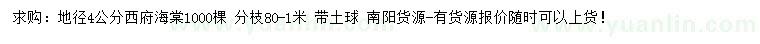 求購地徑4公分西府海棠
