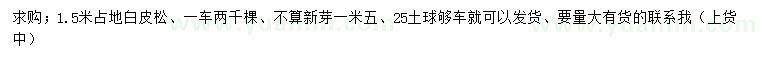 求購1.5米占地白皮松
