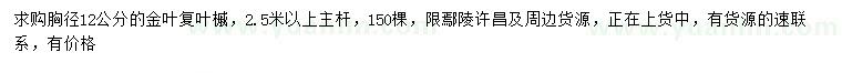 求購胸徑12公分金葉復(fù)葉槭