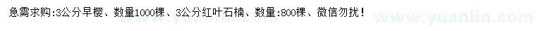 求購(gòu)3公分早櫻、紅葉石楠