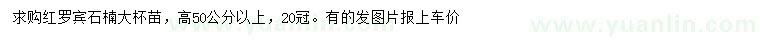 求購高50公分以上羅賓石楠