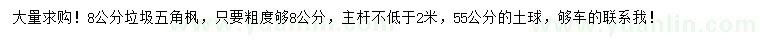 求購8公分垃圾五角楓