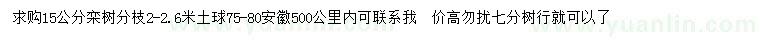 求購15公分欒樹