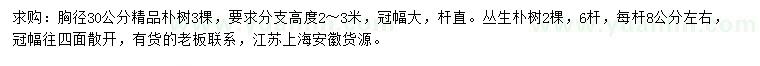 求購(gòu)胸徑30公分精品樸樹、叢生樸樹