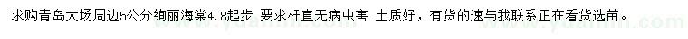 求購5公分絢麗海棠