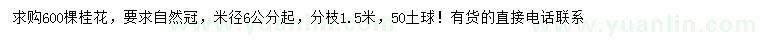 求購米徑6公分起桂花