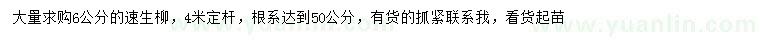 求購6公分速生柳