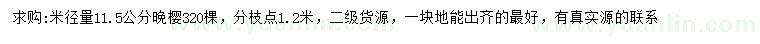 求購米徑量11.5公分晚櫻
