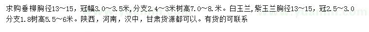求購垂柳、白玉蘭、紫玉蘭