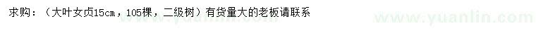 求購15公分大葉女貞