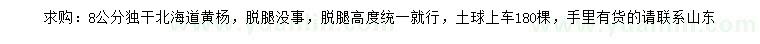 求購8公分北海道黃楊