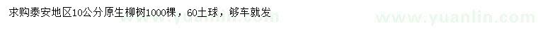 求購10公分柳樹