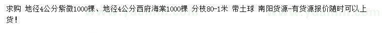 求購地徑4公分紫微、西府海棠