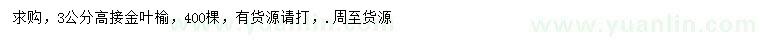求購3公分高接金葉榆