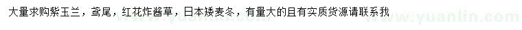 求購紫玉蘭、鳶尾、紅花炸醬等