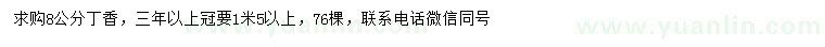 求購(gòu)8公分丁香
