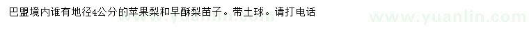 求購(gòu)地徑4公分蘋果梨、早酥梨